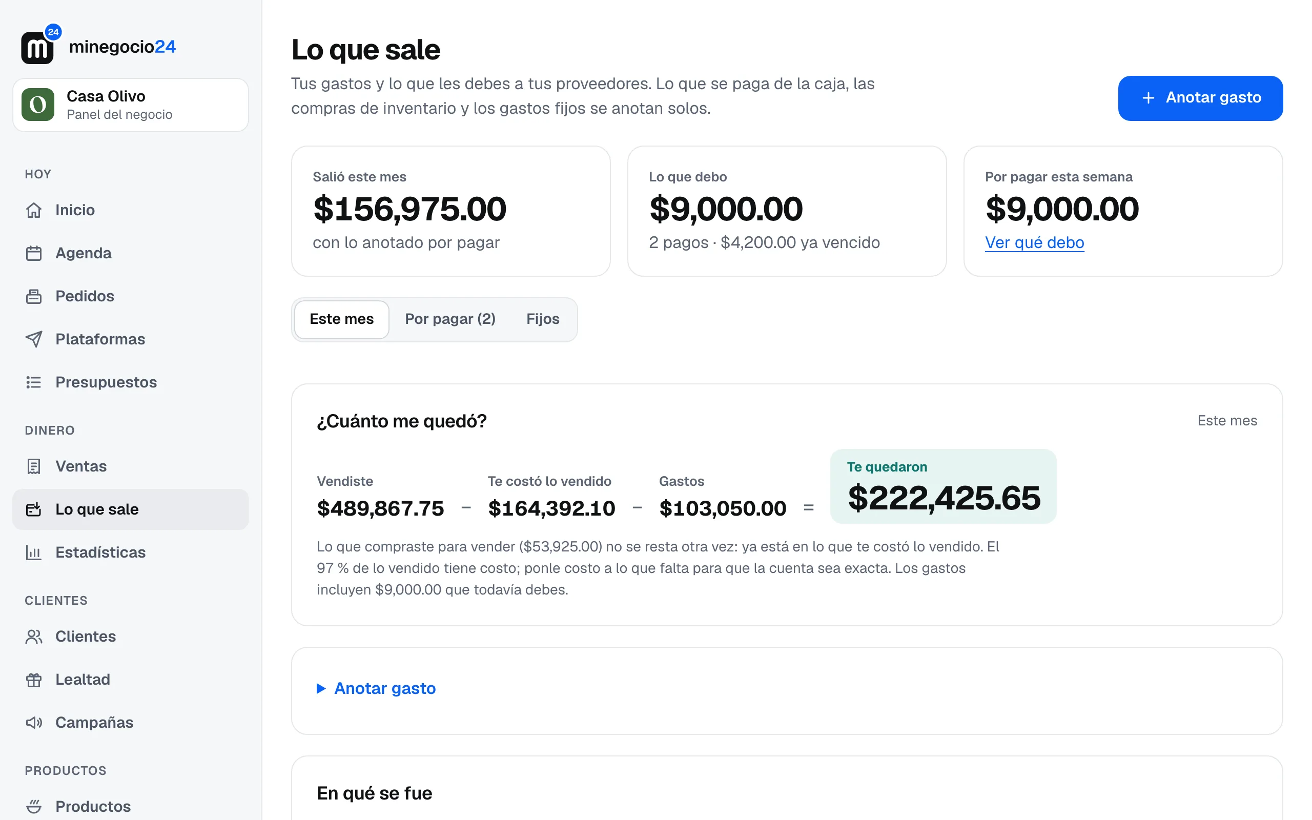 Lo que sale de Casa Olivo en el mes: lo que salió, lo que debo, cuánto le quedó y en qué se fue