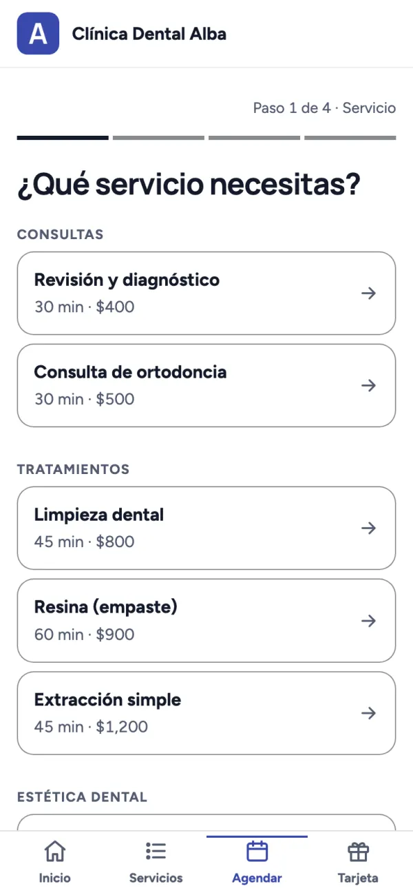 Paso 1 de 4 de la agenda: consultas y tratamientos con su duración y precio.